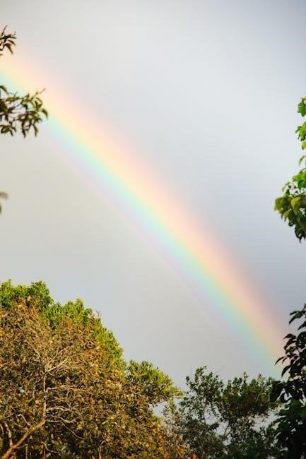spectrum channel guide overland park