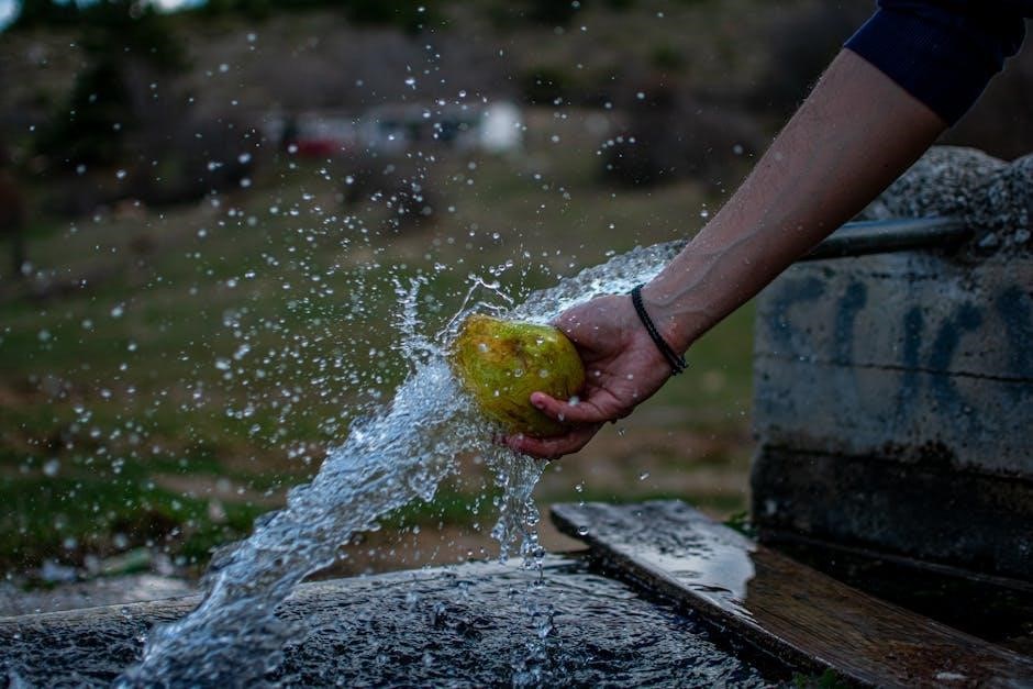 elkay water fountain manual