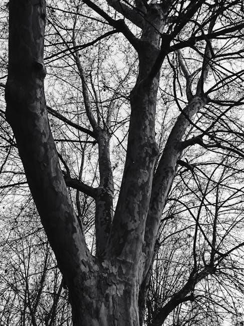 michael dirr manual of woody landscape plants