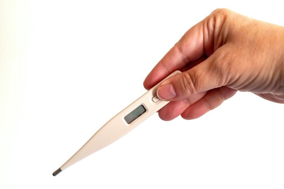 big easy infrared fryer manual